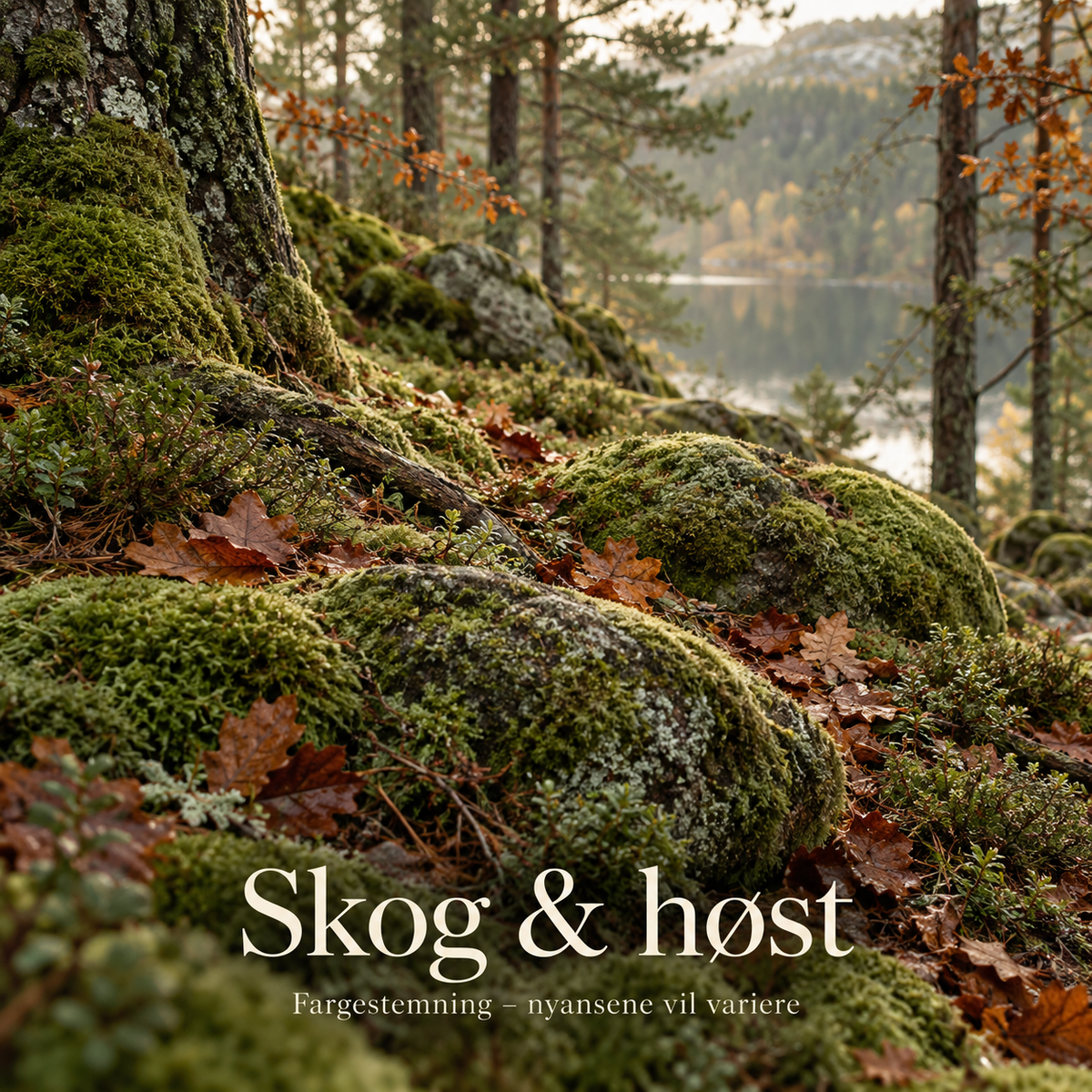 Adventskalender: SMÅSTRIKK